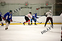 _MG_0736