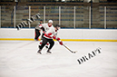 _MG_0809