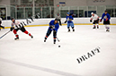 _MG_0887