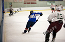 _MG_0960