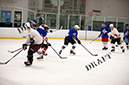 _MG_0987