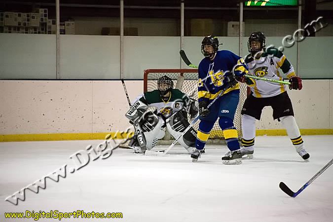 _MG_0352