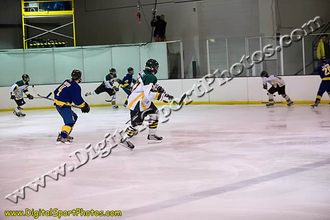 _MG_0390