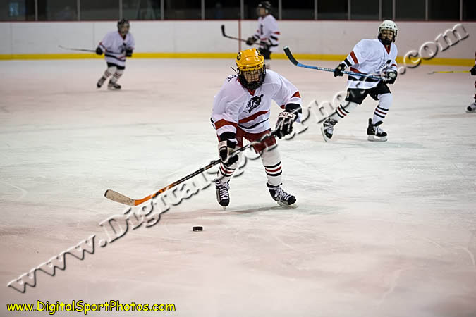 _MG_0537