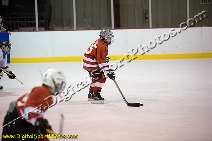 _MG_0557