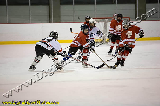 _MG_0565