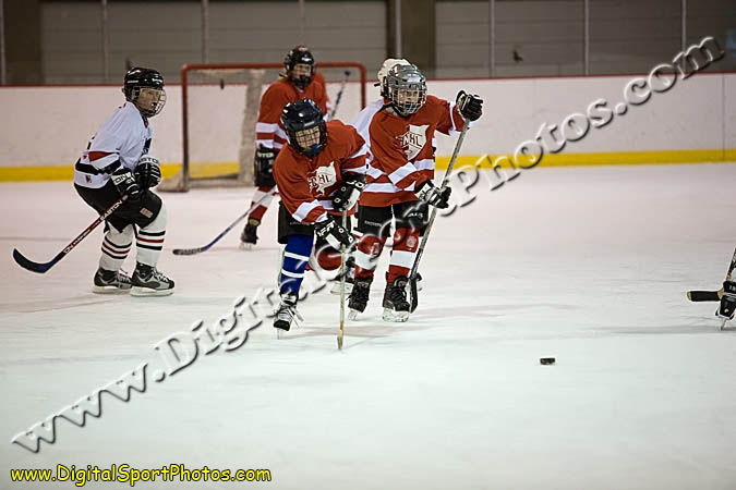 _MG_0567