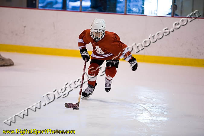 _MG_0593