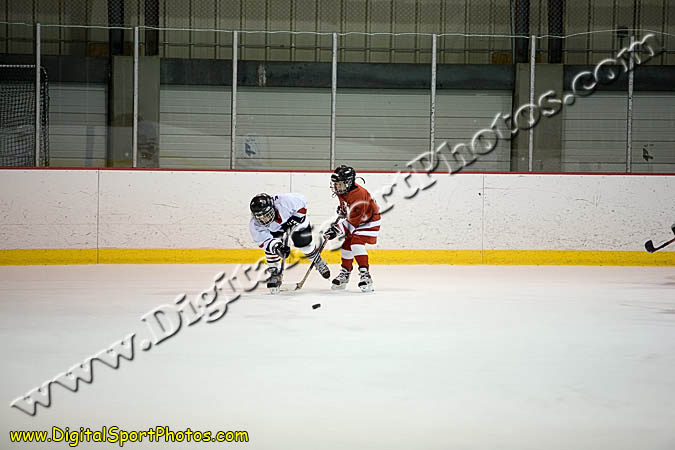 _MG_0594