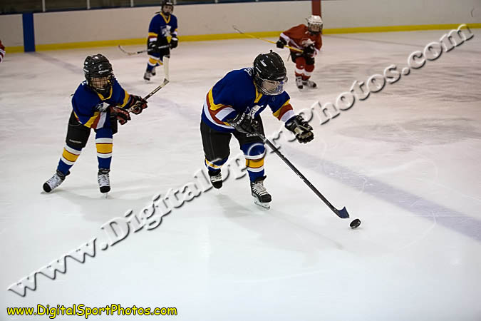 _MG_0650