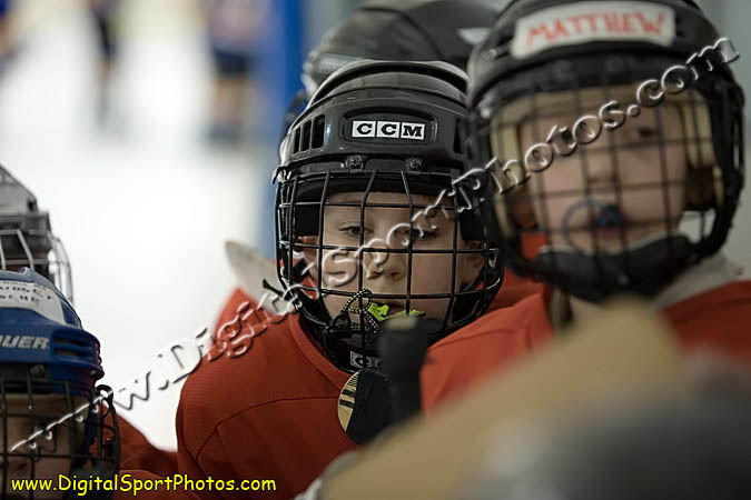 _MG_0653