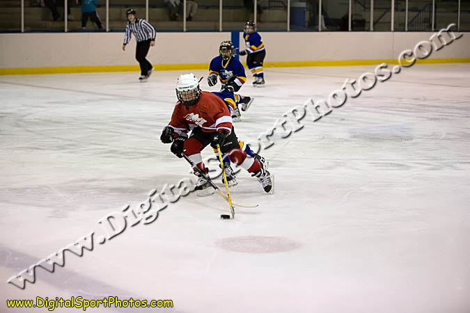 _MG_0661