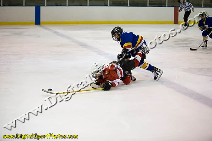_MG_0663