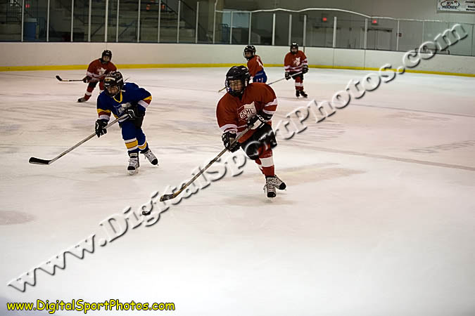_MG_0681