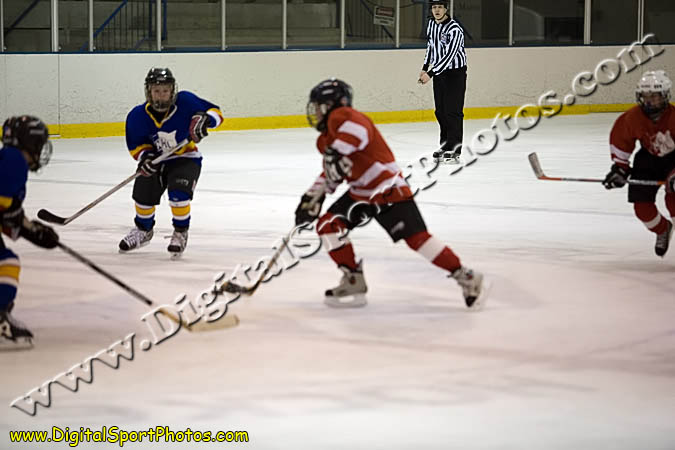 _MG_0684