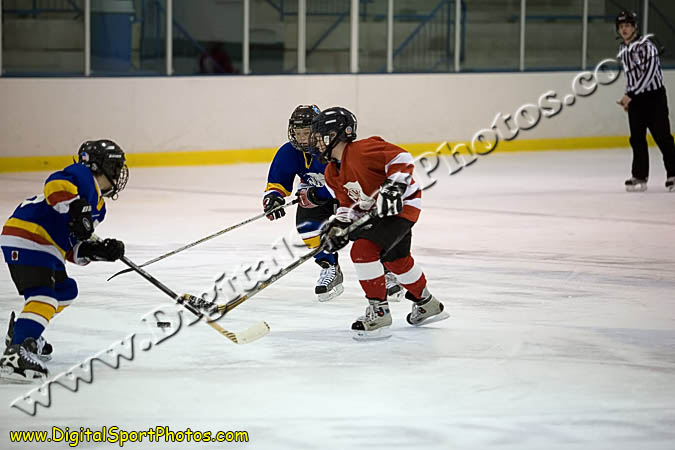 _MG_0685