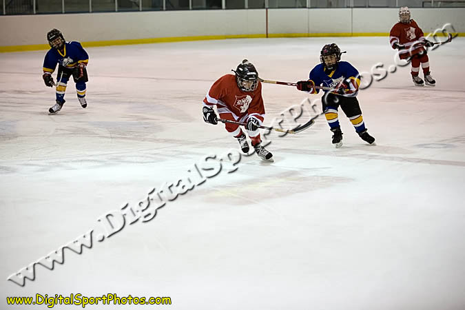 _MG_0692