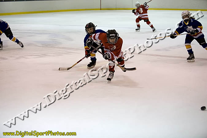 _MG_0693