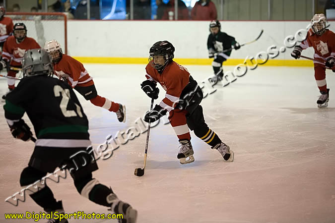 _MG_0803