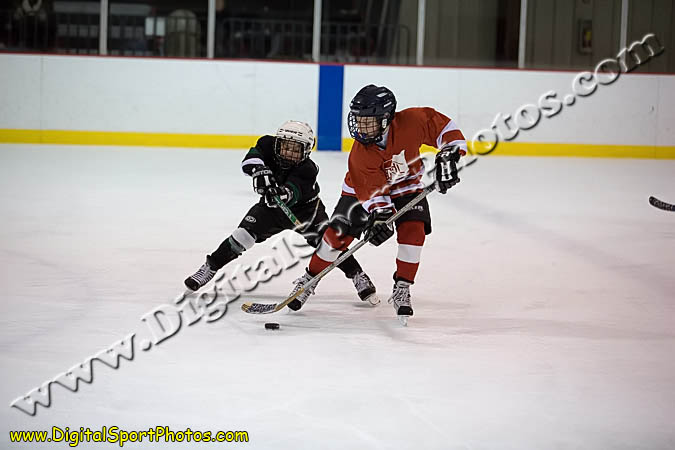 _MG_0861