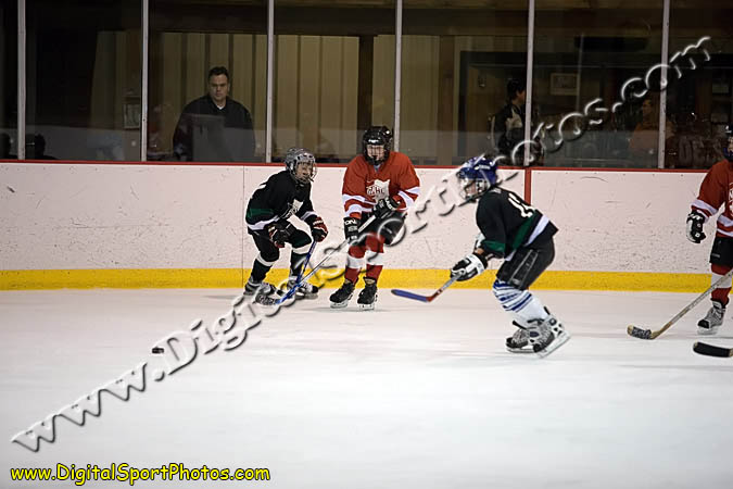 _MG_0869