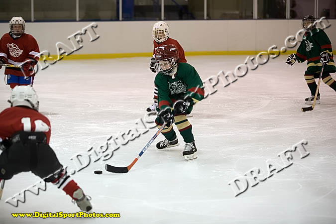 _MG_0086
