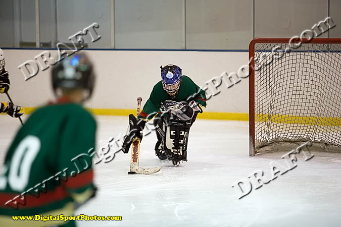 _MG_0441