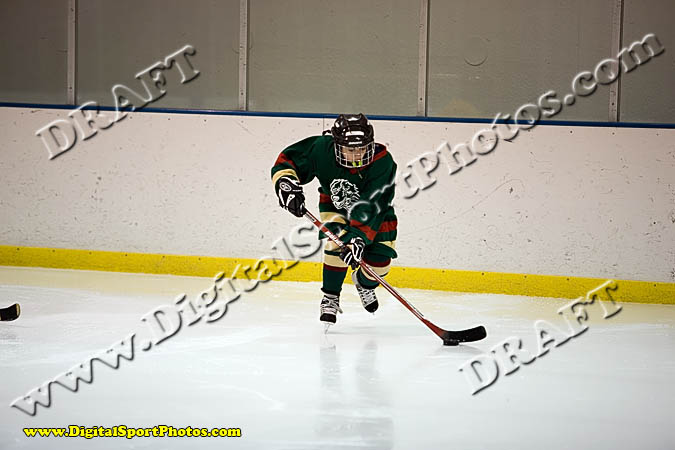 _MG_0443