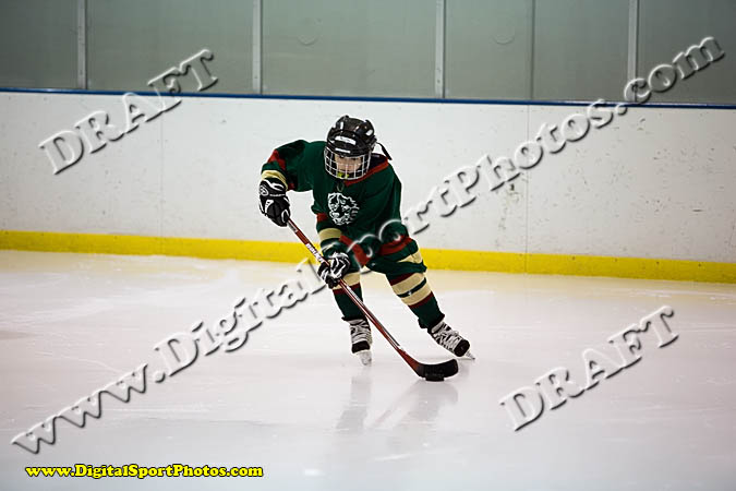 _MG_0445