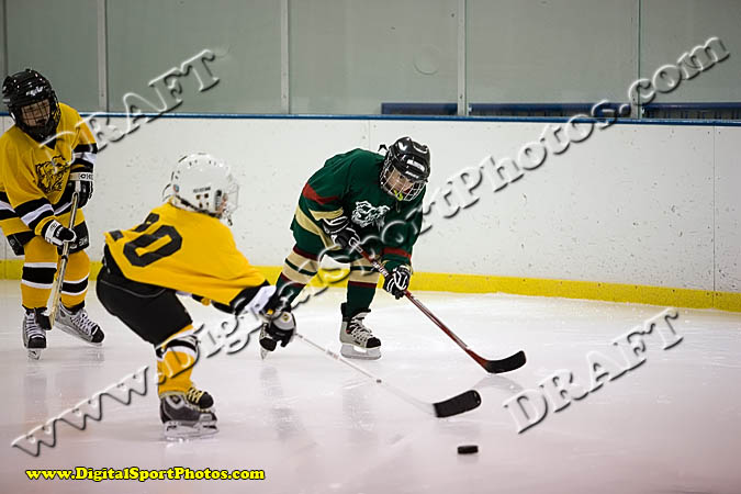 _MG_0447