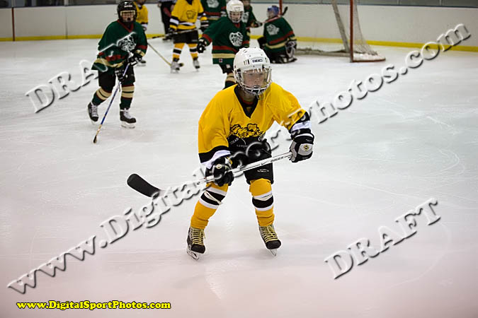 _MG_0451
