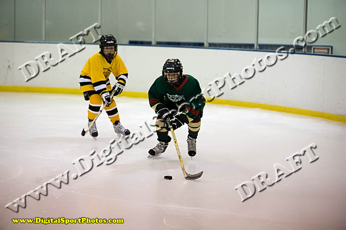 _MG_0453