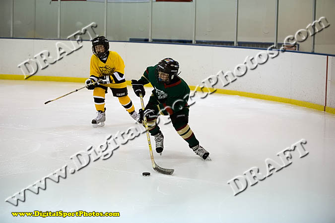 _MG_0454