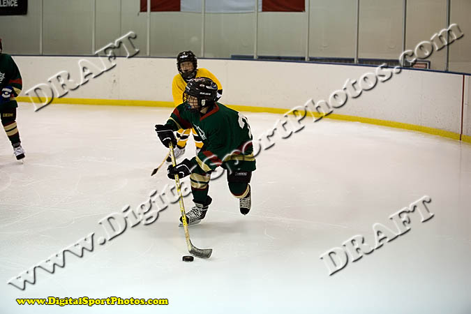 _MG_0455