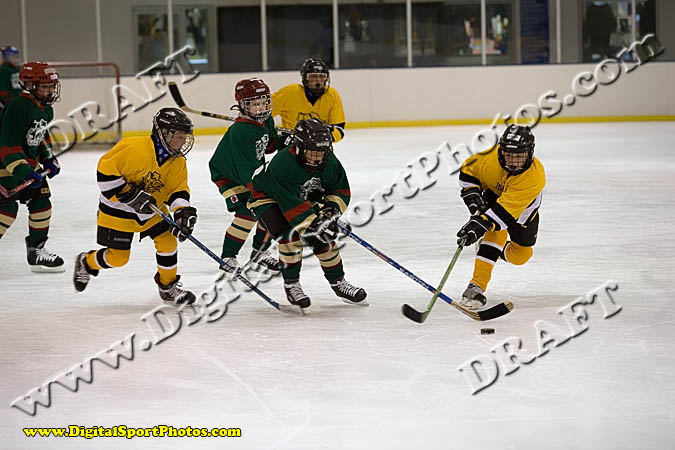 _MG_0464