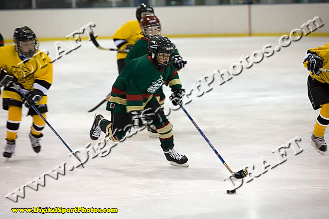 _MG_0466