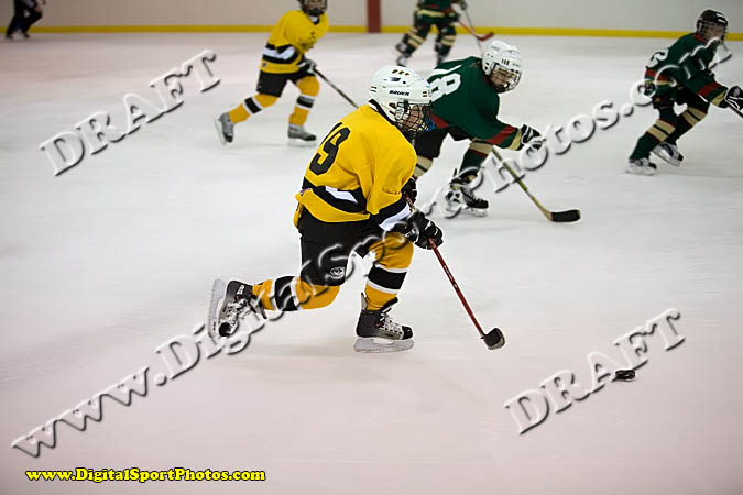 _MG_0485