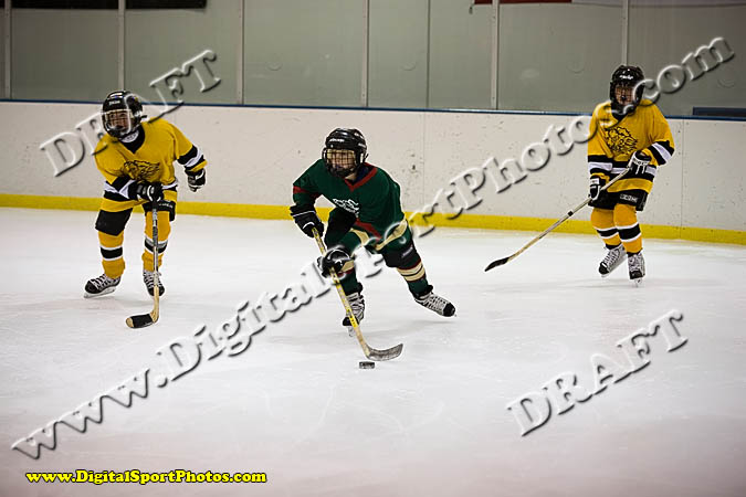 _MG_0490