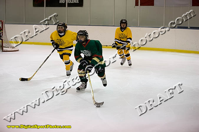 _MG_0493