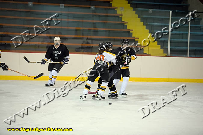 _MG_0559