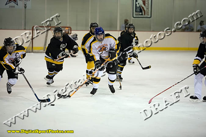 _MG_0561