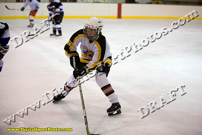 _MG_0668