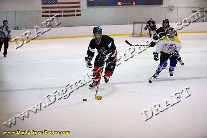 _MG_3464