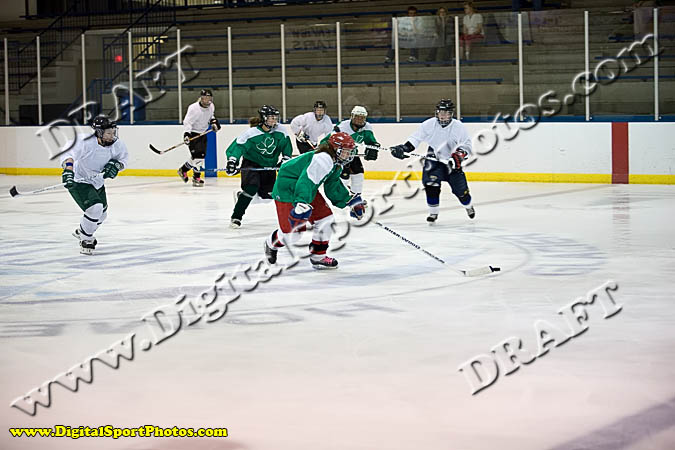 _MG_3578