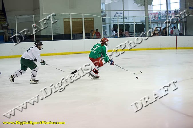 _MG_3584